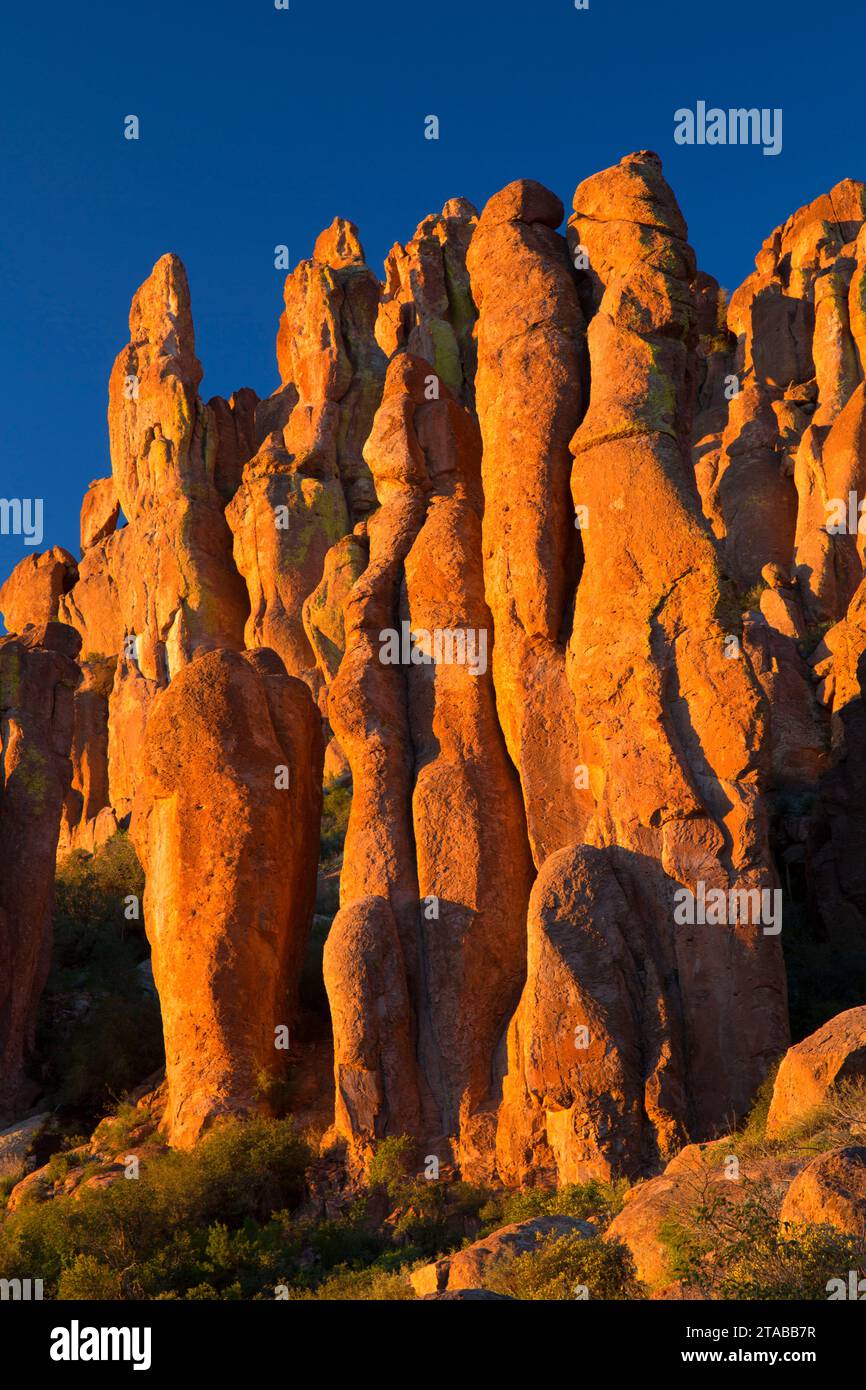 Ridge Felsvorsprung von Peralta Trail, Superstition Wilderness, Tonto National Forest, Arizona Stockfoto