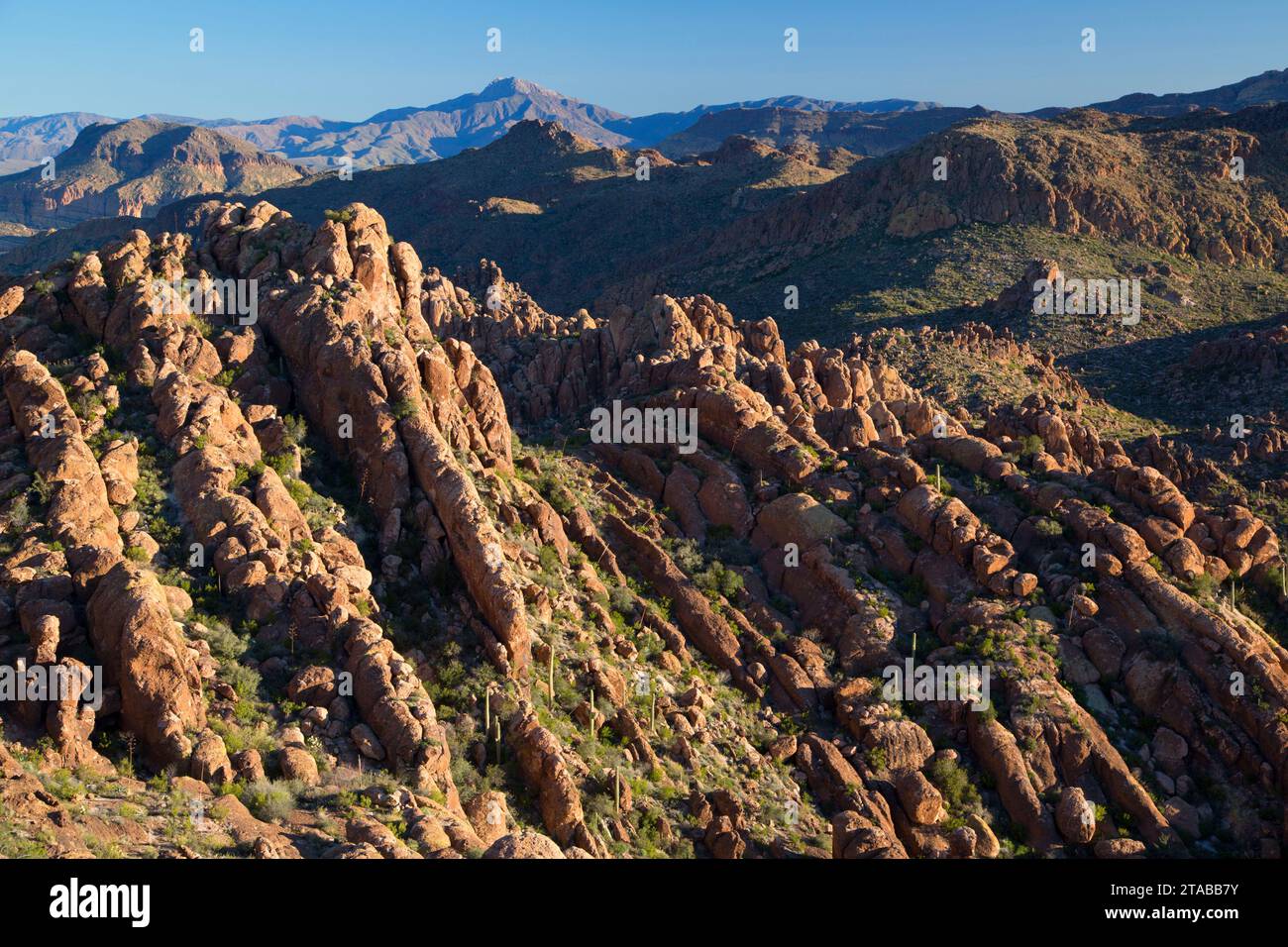 Blick vom Peralta Trail, Superstition Wilderness, Tonto National Forest, Arizona Stockfoto