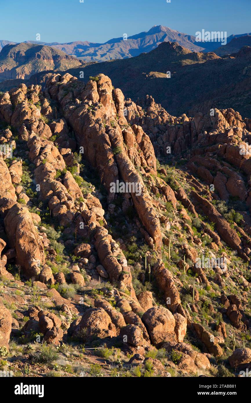 Blick vom Peralta Trail, Superstition Wilderness, Tonto National Forest, Arizona Stockfoto