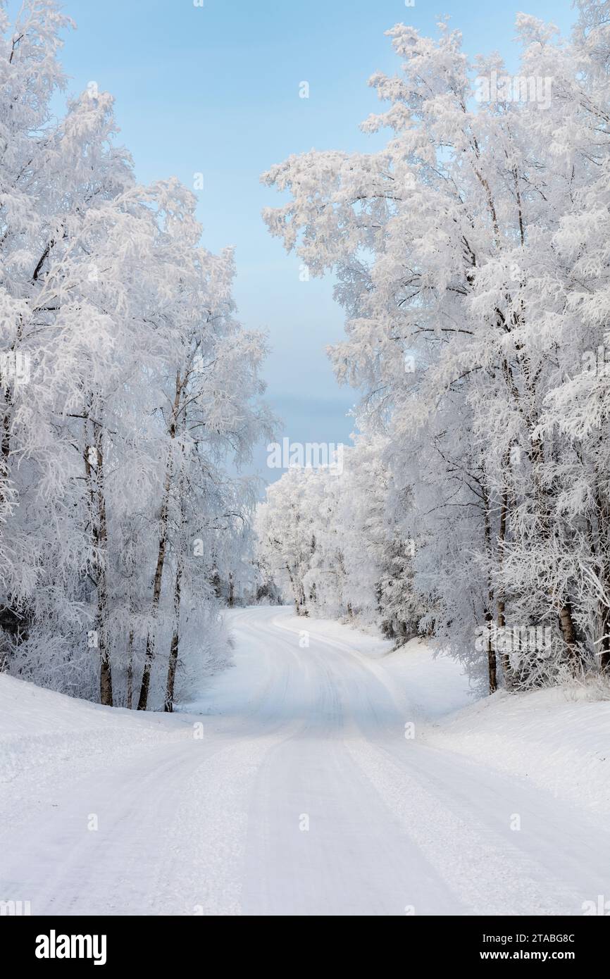 Die Straße ist mit Schnee bedeckt, Alaska Stockfoto