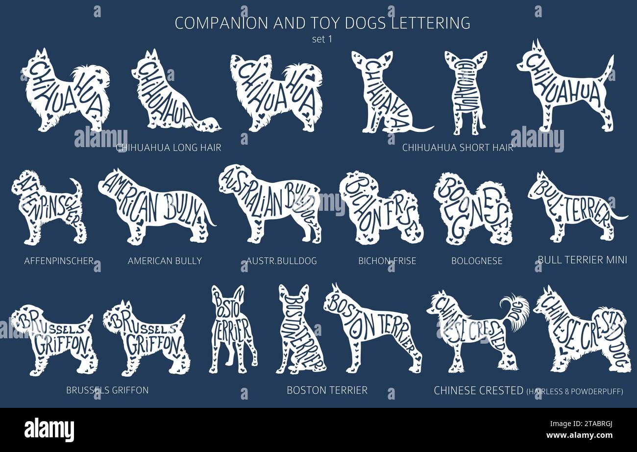 Der Hund züchtet Silhouetten mit Schriftzug, schlichtem Clipart. Sammlung von Begleithunden und Spielzeughunden. Vektorabbildung Stock Vektor