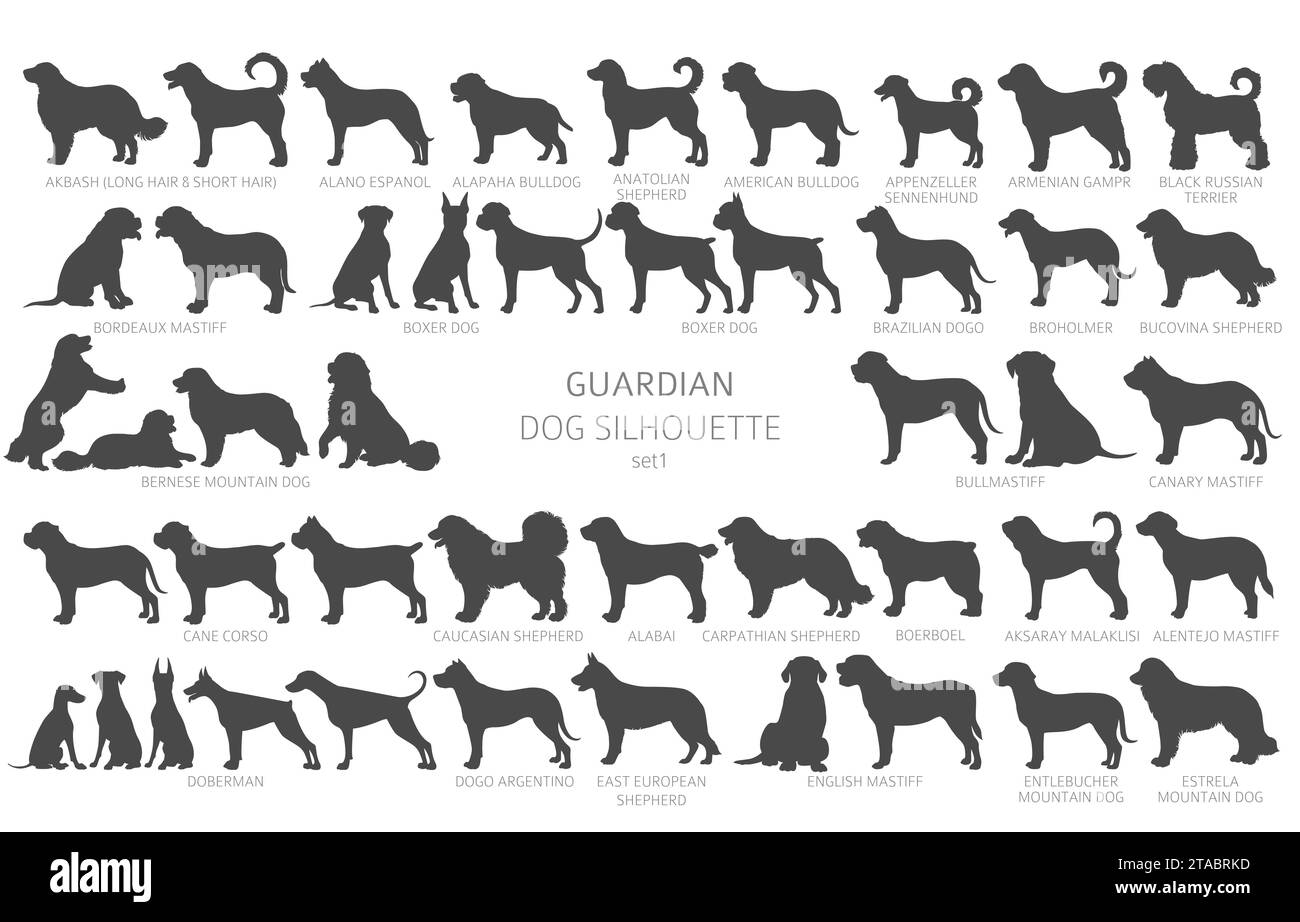Hunde züchten Silhouetten, einfaches Clipart. Schutzhunde und Service-Hund-Sammlung. Vektorabbildung Stock Vektor