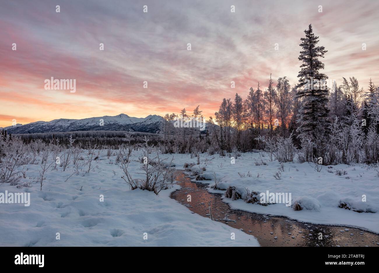 Strömung im Winter bei Sonnenaufgang, Chugach Mountains, Alaska Stockfoto