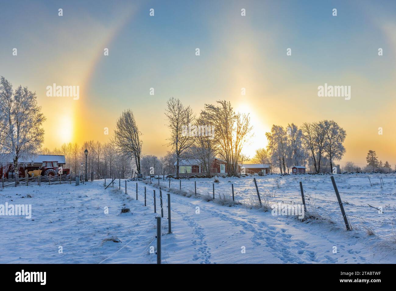 Sonnenhunde in einer winterlichen Landschaft Stockfoto