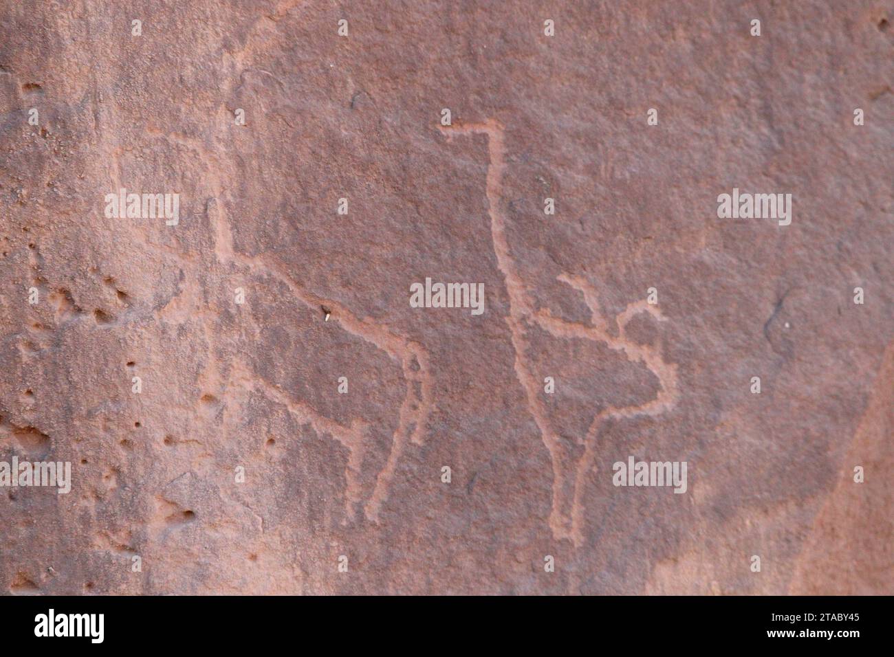 Petroglyphen (antike Felszeichnungen) in einem Wüstengebiet in der Nähe von Assuan, Ägypten Stockfoto