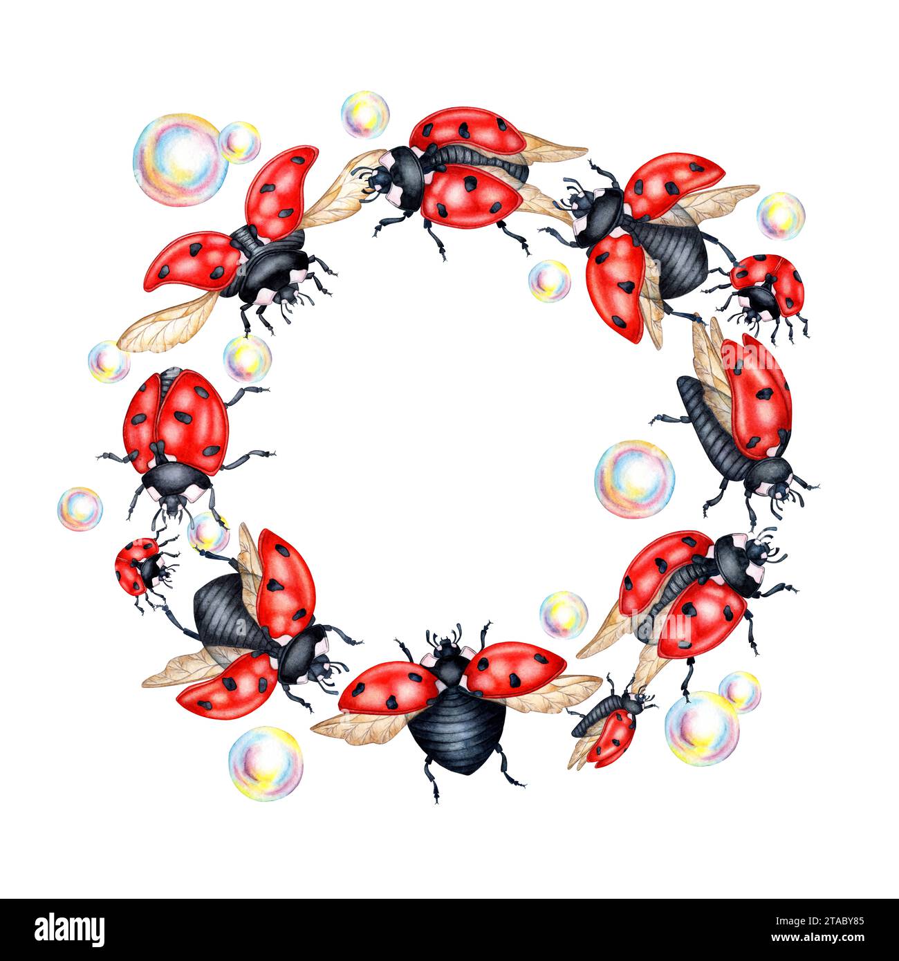 Aquarellabbildung mit rundem Rahmen Rote Marienkäfer mit schwarzen Punkten und Seifenblasen. Runder Rahmen, Kranz, Vorlage isoliert auf weißem Hintergrund. Design Stockfoto