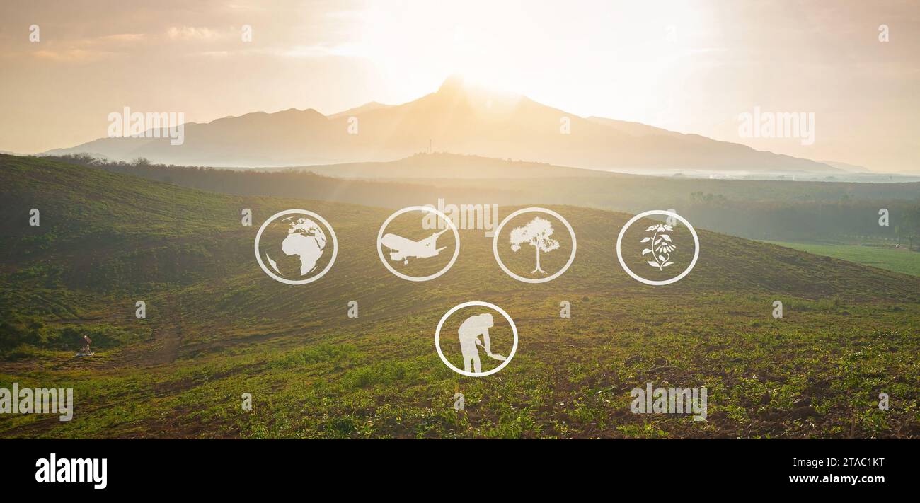 Tourismus und landwirtschaftliche Lernressourcen, Kautschukplantage, Flächenvorbereitung für Kautschukanbau, Panorama Stockfoto