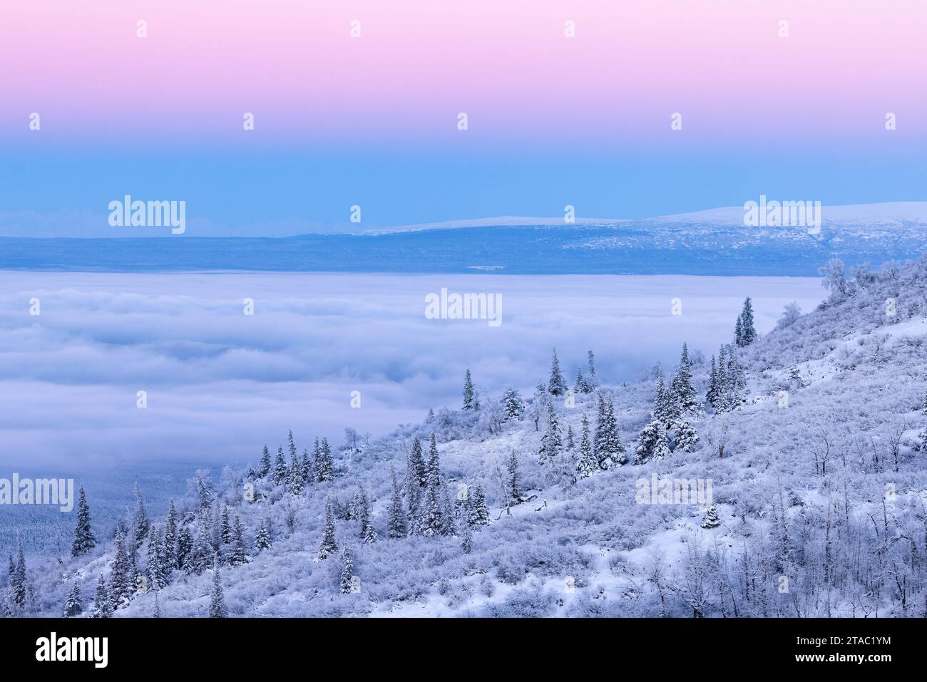 Sonnenaufgang im Winter, Knik Arm, Alaska Stockfoto