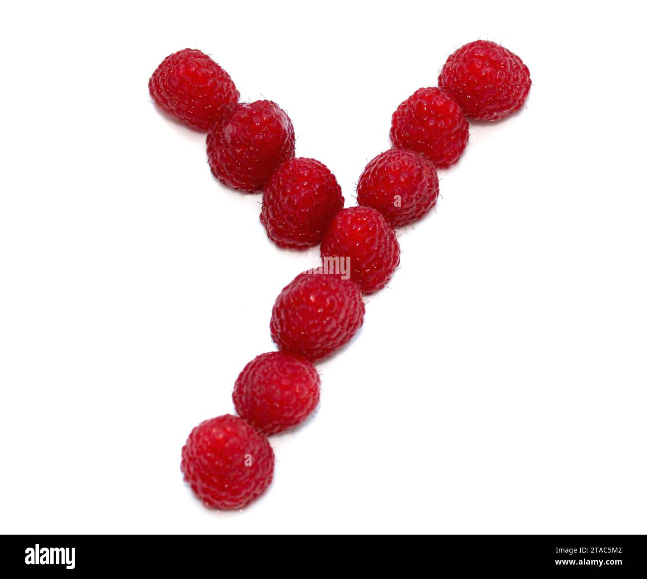 Buchstabe Y aus Himbeeren. Isoliert auf weißem Hintergrund für Geburtstagsfeier, Karten, Jubiläum, Feier, Kochbücher Stockfoto