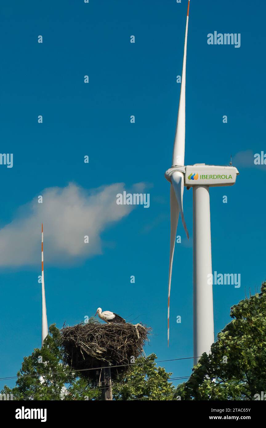 Storchennest und Windräder im Dorf Koniecwald bei Sztum, Pomorskie, Polen Stockfoto