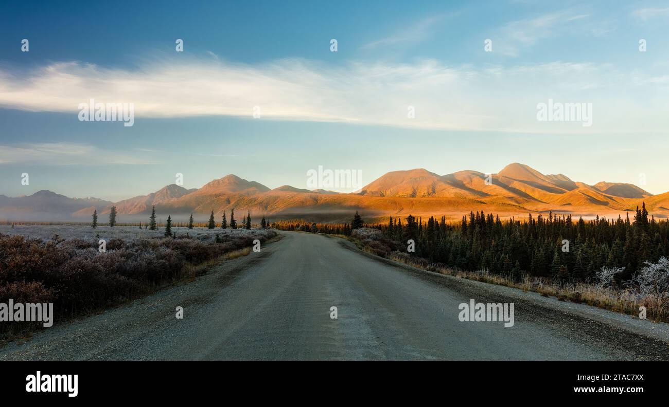 Straße im Denali-Nationalpark, Alaska Stockfoto
