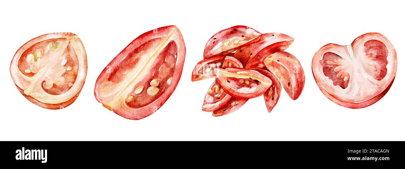 Aquarellgemüse Hälften von Tomaten isoliert auf weißem Hintergrund. Handgezeichnete Lebensmittelillustration. Gesundes Lifestyle-Konzept. Für Menü, Kochbuch, PA Stockfoto