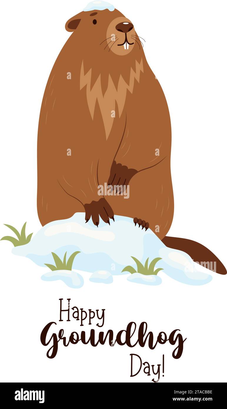 Niedliches Murmeltier, das im Schnee steht. Weihnachtskarte Happy Groundhog Day. Februar. Vektorabbildung Stock Vektor