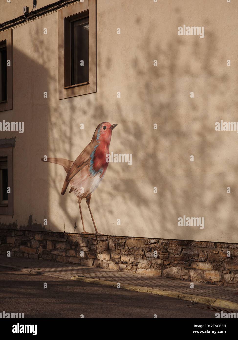 Ivars d'Urgell, Spanien, 15. Februar 2023. Malkunst Robin. Kredit: Joan Gosa/Alamy Stockfoto