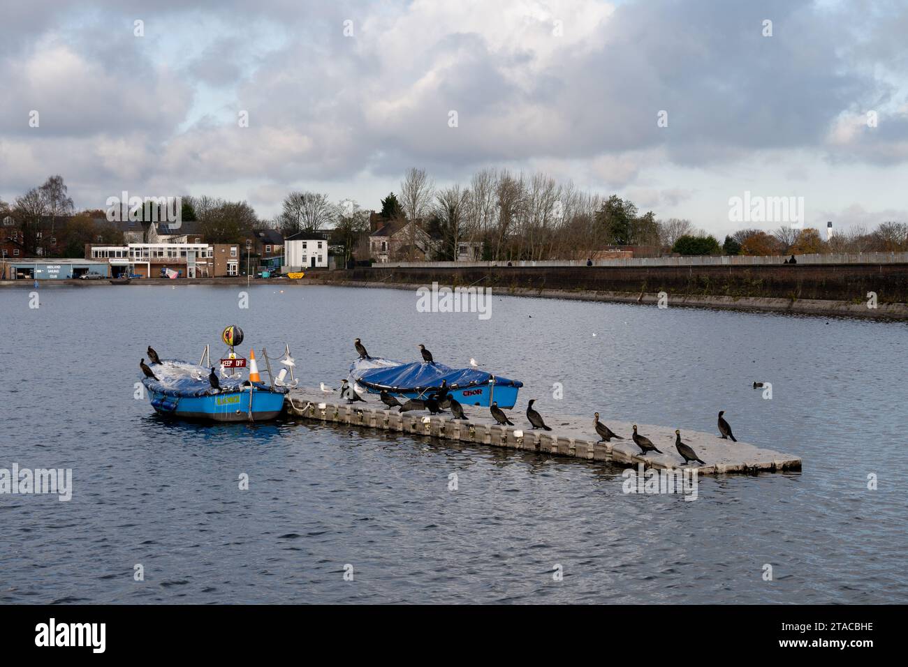 Edgbaston Reservoir, Birmingham, West Midlands, Englanbd, Großbritannien Stockfoto