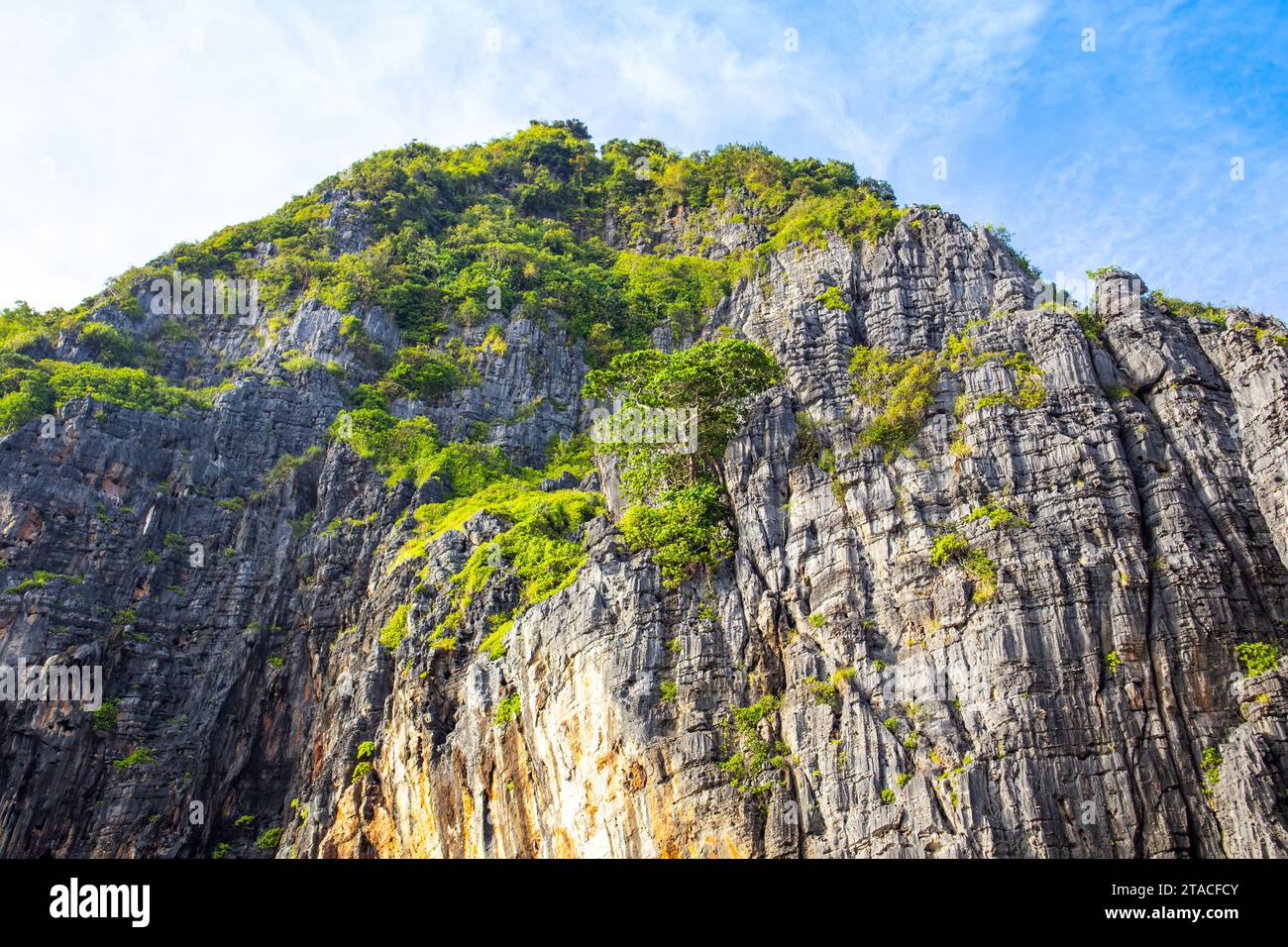 Ein detaillierter Blick auf die grünen Felsen in Maya Bay auf den Phi Phi Inseln - einer der berühmtesten Orte in Thailand Stockfoto