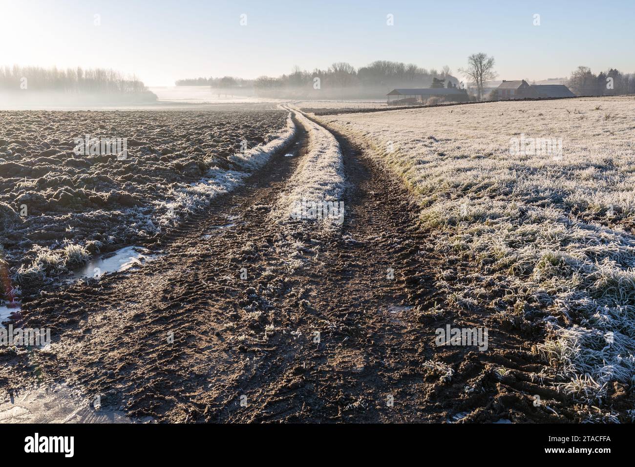 Bauernstraße an einem Wintermorgen in einer frostgefrorenen Landschaft. Stockfoto