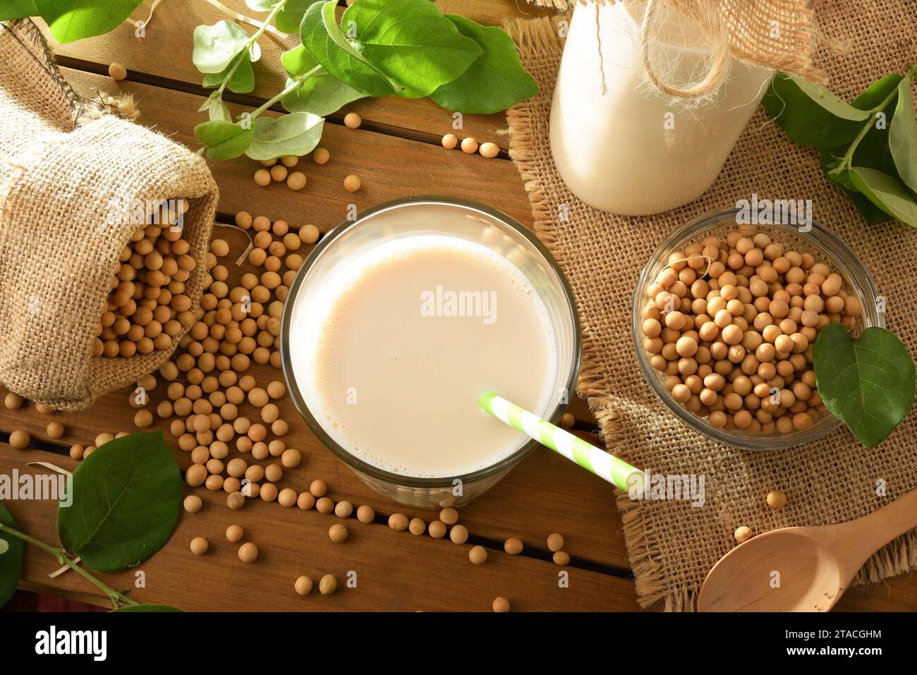 Glas natürliches Sojabohnengetränk auf Holztisch mit Schüsseln voller Samen auf dem Feld. Draufsicht. Stockfoto