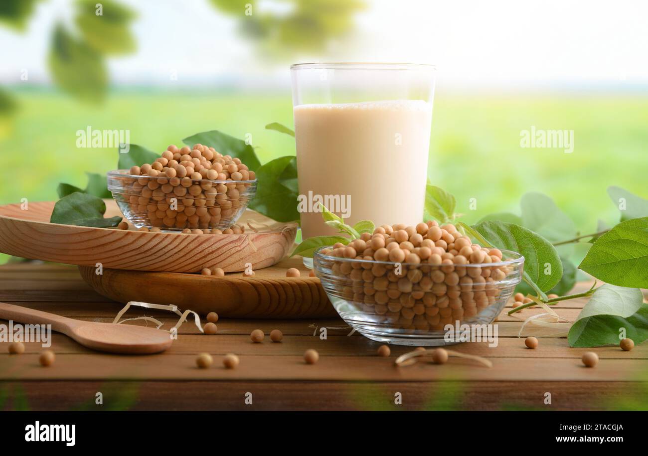 Detail eines Glases natürliches Sojabohnengetränk auf Holztisch mit Schüsseln voller Samen auf dem Feld. Vorderansicht. Stockfoto