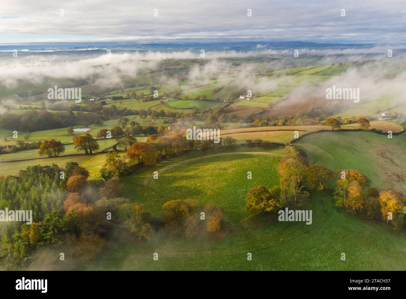 Nebelmorgen über dem Hügel von Cadbury Castle in Devon, England. Herbst (November) 2021. Stockfoto