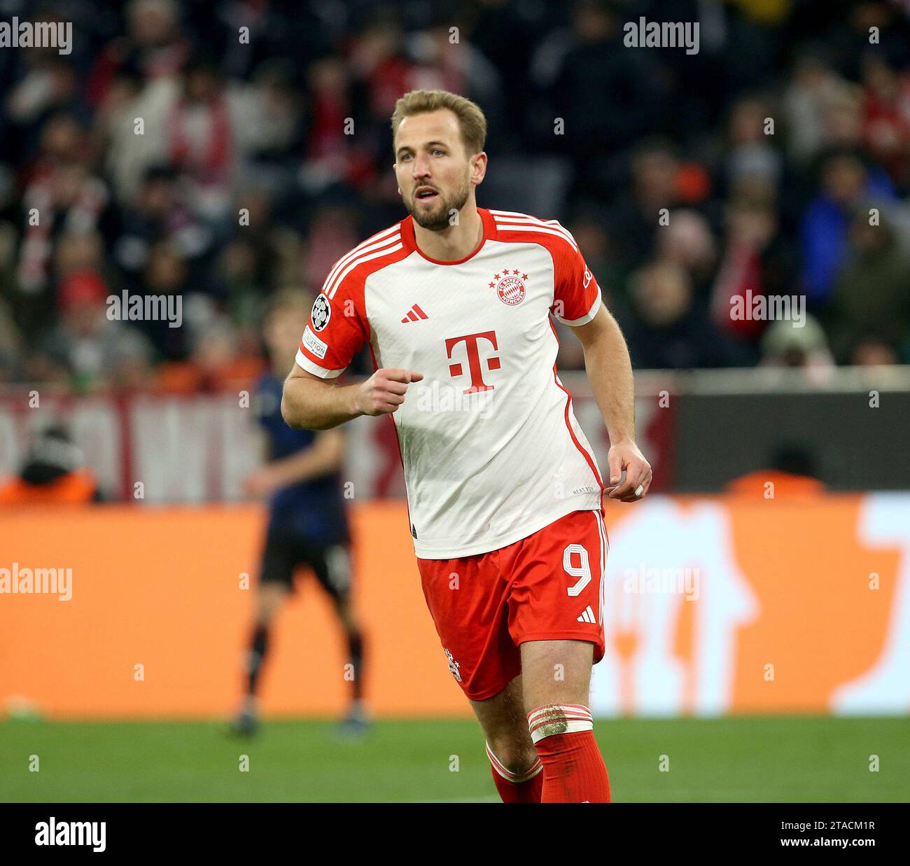 Harry Kane (Bayern) FC Bayern München-FC Kopemhagen. München, Deutschland, 29.11.2023, Sport: Fußball: Champions League: Saison 23/24: Foto: Avanti/Ralf Poller. Stockfoto