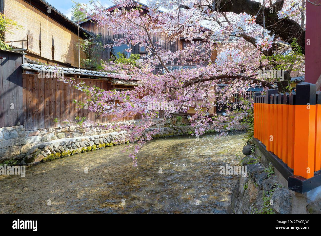 Kyoto, Japan - 2. April 2023: Shinbashi dori ist der Ort, an dem Gion-Ochaya Teehäuser nebeneinander auf der Straße stehen, verbunden mit dem Betrieb von Shir Stockfoto