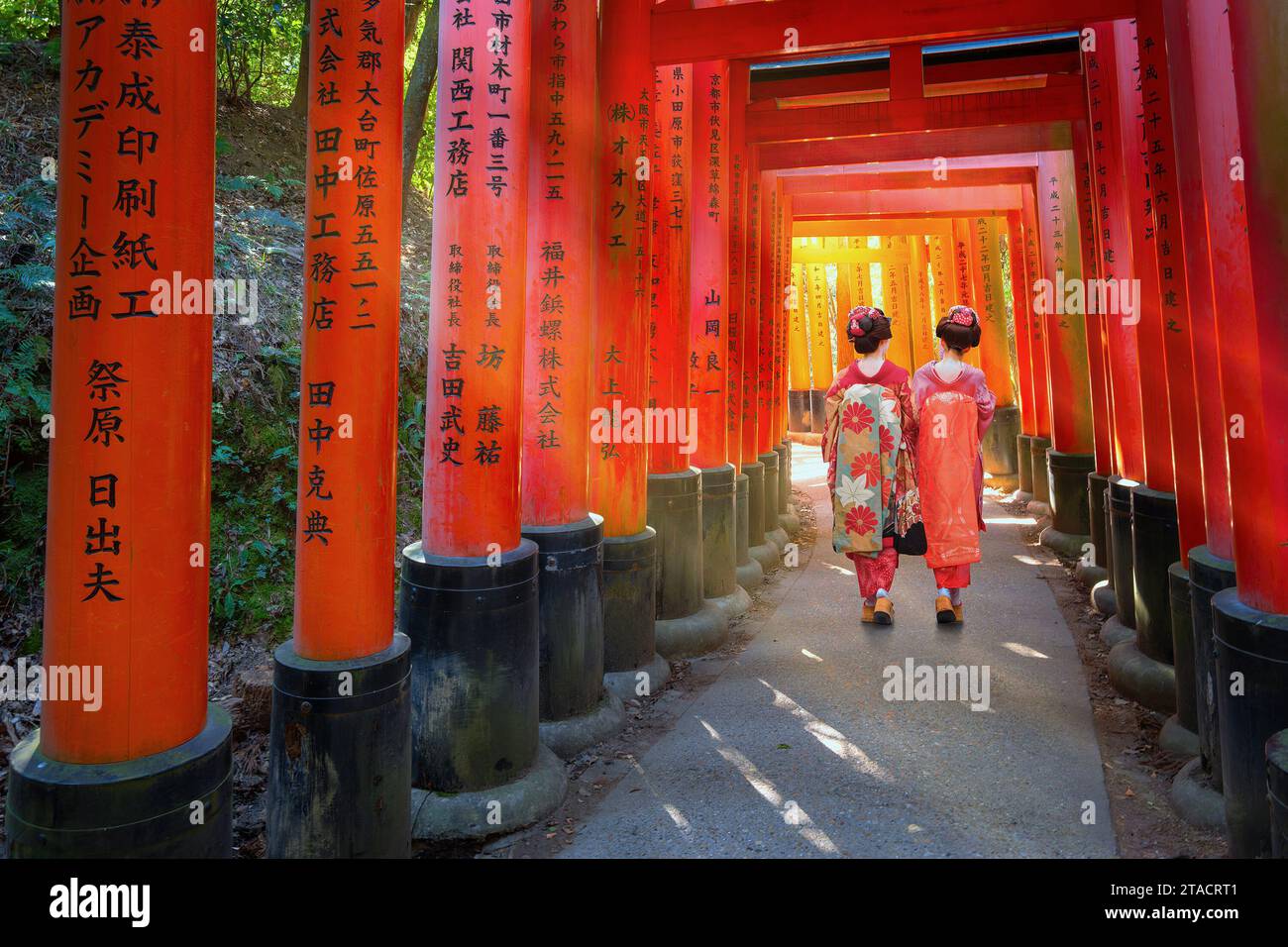 Kyoto, Japan - 1. April 2023: Fushimi Inari-taisha, erbaut im Jahr 1499, ist es das Symbol eines Weges, der von Tausenden von Torii-Toren mit malerischer, voller Blüte gesäumt ist Stockfoto