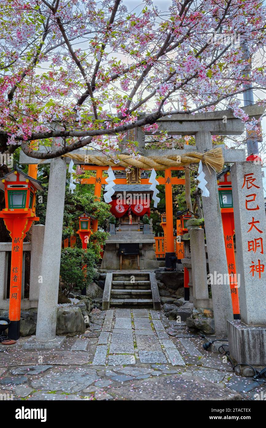Kyoto, Japan - 6. April 2023: Tatsumi Daimyojin-Schrein in der Nähe der Tatsumu-Bashi-Brücke im Stadtteil Gion Stockfoto