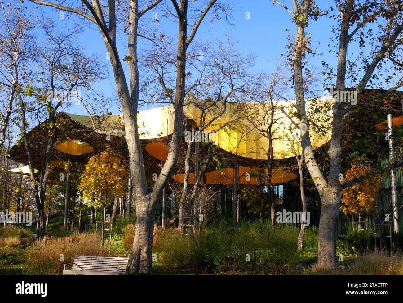House of Music, entworfen von Sou Fujimoto, Teil des Liget Project, Varosliget, Stadtpark, Budapest, Ungarn Stockfoto