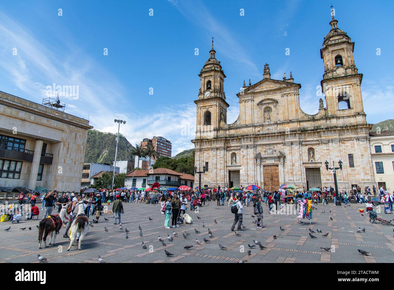 Der Vordereingang der Kathedrale Primada de Colombia an der Plaza de Bolívar in Bogotá, Kolumbien Stockfoto