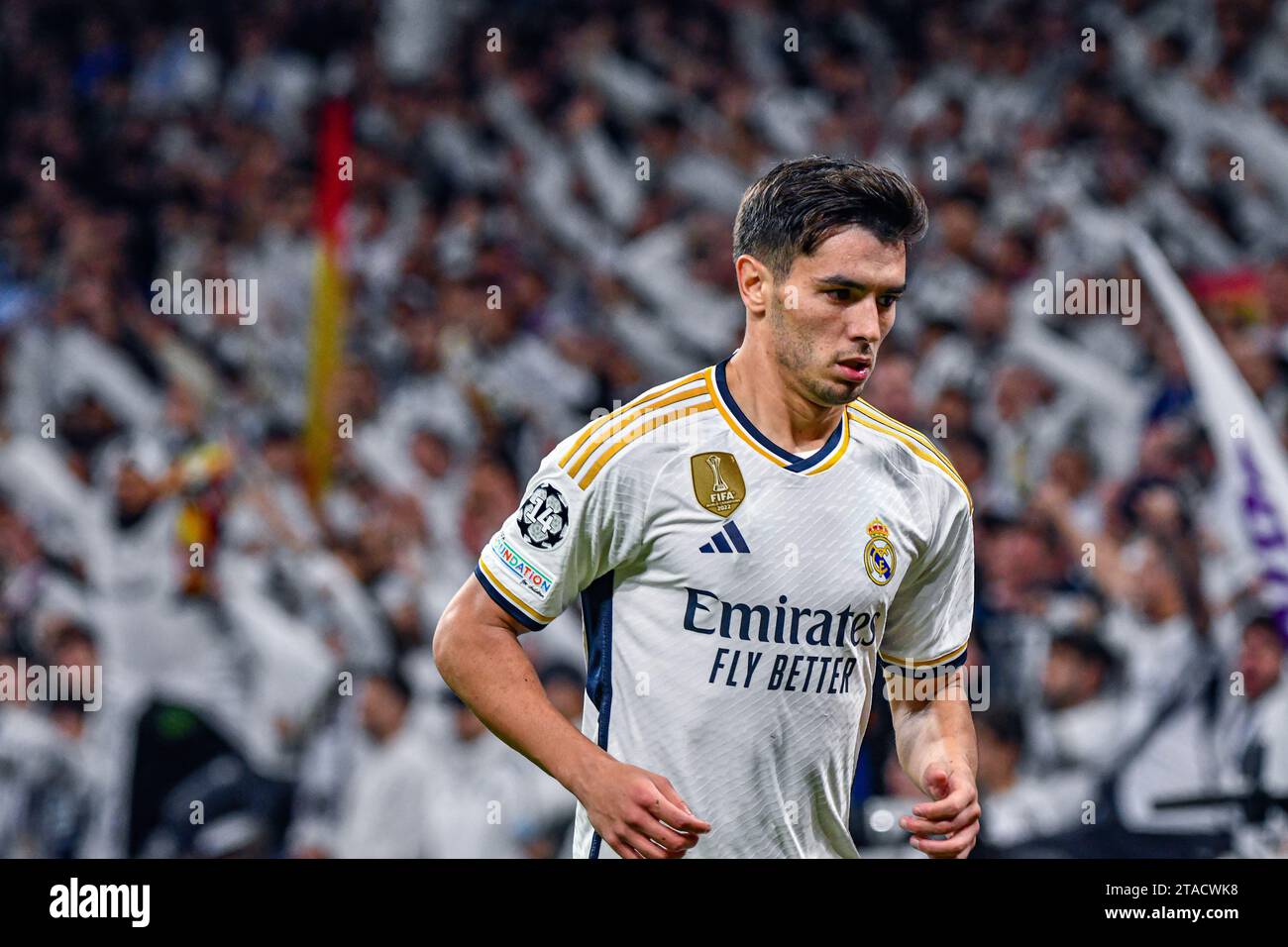 MADRID, SPANIEN - 29. NOVEMBER: Brahim Diaz von Real Madrid CF Focus während des Spiels zwischen Real Madrid CF und SSC Napoles der UEFA Champions League am 29. November 2023 in Santiago Bernabeu in Madrid. (Samuel Carreño/Pximages) Credit: Px Images/Alamy Live News Stockfoto