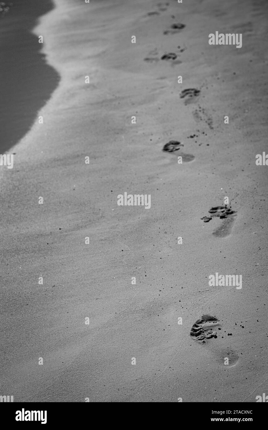 Schritte im Sand, Strand, Playa del Carmen, Quintana Roo, Mexiko, 2023 Stockfoto