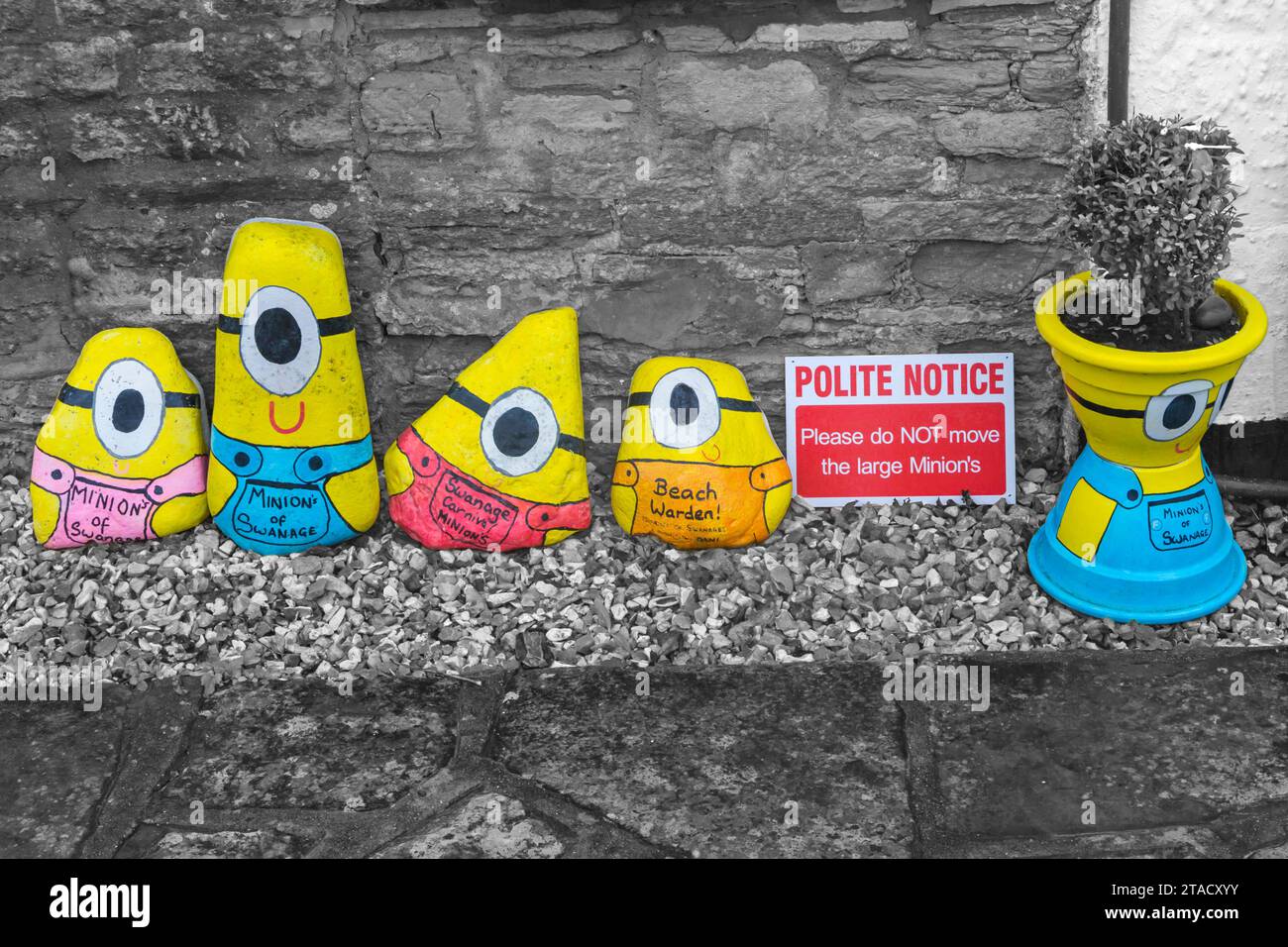 Swanage Minions große bemalte Kieselsteine in Swanage, Dorset, Großbritannien im November - selektive Farbfärbung, Farbspur Stockfoto