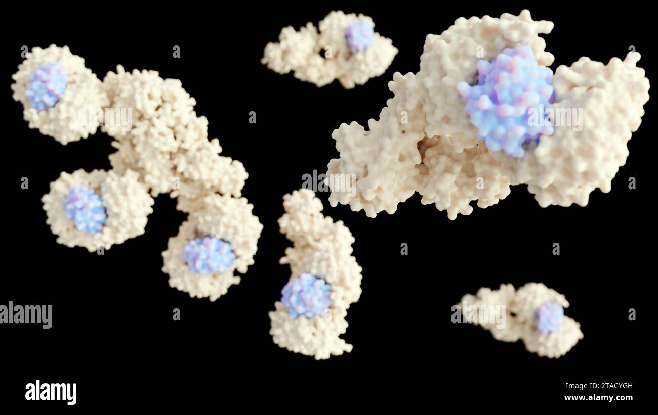 Das 3D-Rendering des bildenden menschlichen Apoptosomenmoleküls enthält sieben Apaf-1-Moleküle, die symmetrisch in einer radförmigen Struktur angeordnet sind, um eine zentrale zu bilden Stockfoto