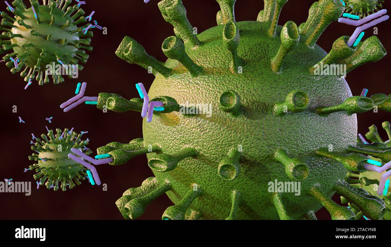 Antikörper wirken gegen Viren vor allem durch Bindung an und Neutralisierung von Virionen, 3D-Rendering Stockfoto