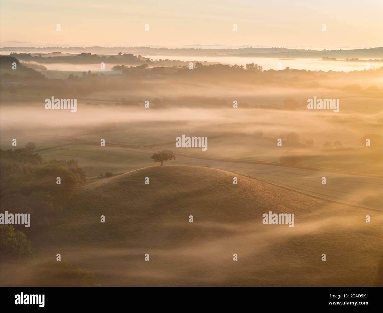 Nebel umhüllte die sanfte Landschaft bei Sonnenaufgang, Crediton, Devon, England. Sommer (Juni) 2023. Stockfoto