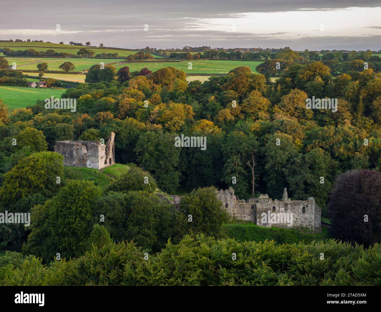 Die Ruinen von Okehampton Castle, umgeben von Laubwäldern, Devon, England. Sommer (August) 2023. Stockfoto