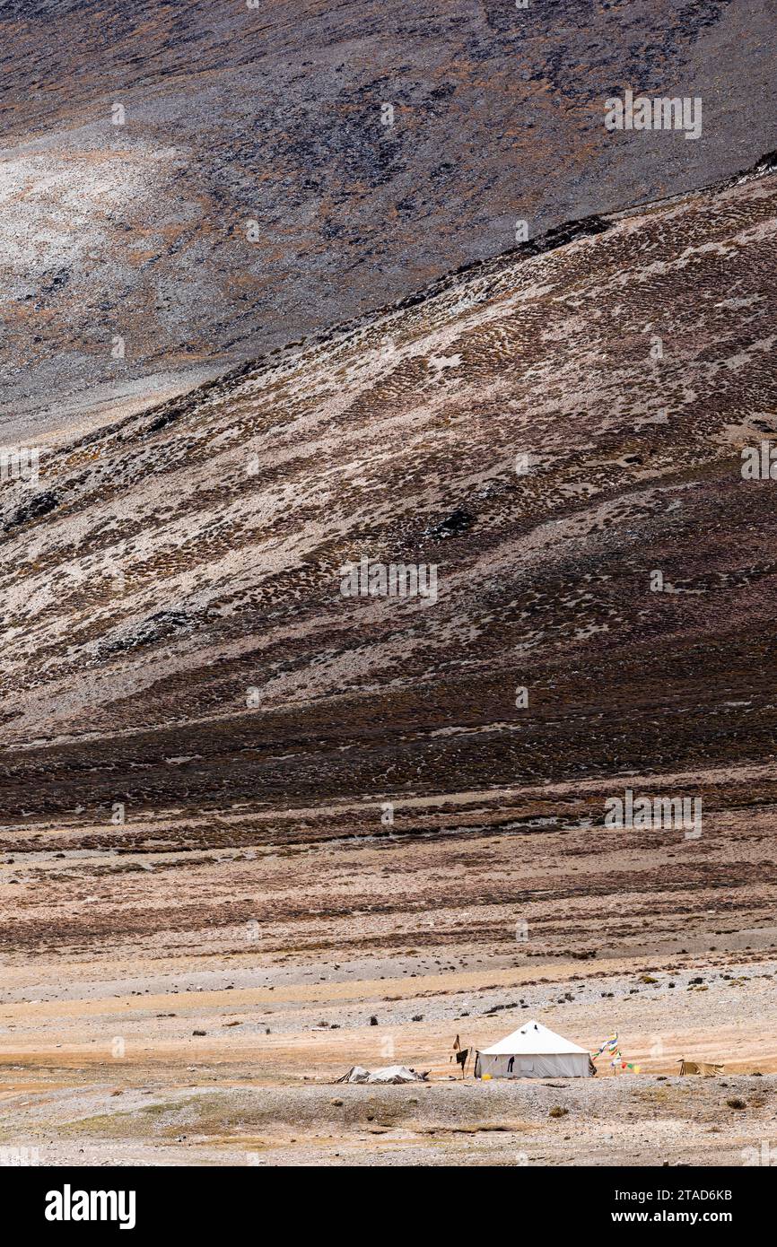 Nomadenzelt, das von den Changpa-Nomaden benutzt wird, Ladakh, Indien Stockfoto
