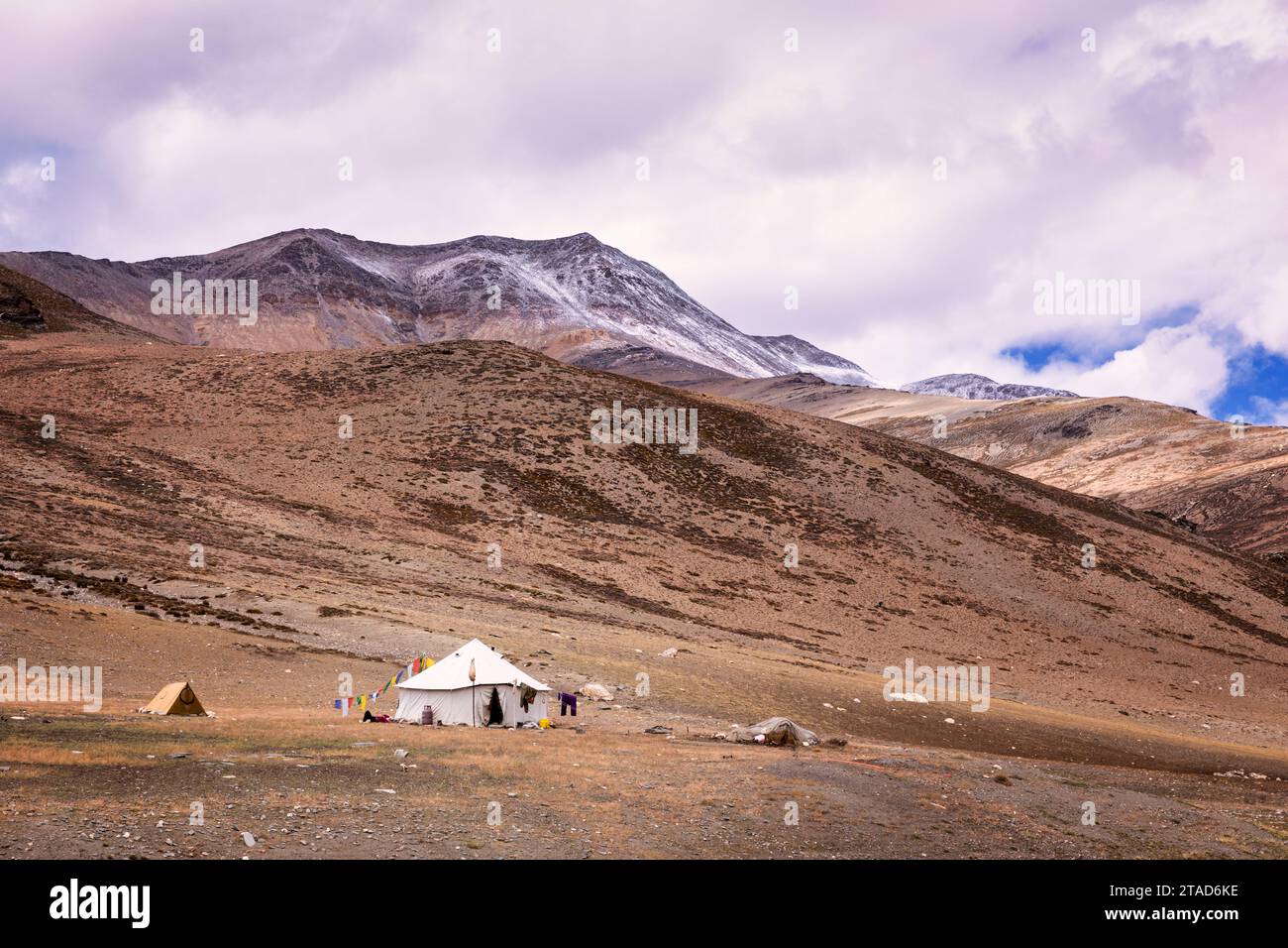 Nomadenzelt, das von den Changpa-Nomaden benutzt wird, Ladakh, Indien Stockfoto