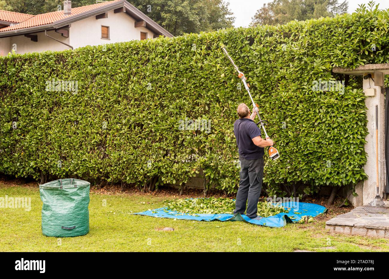 Reifer Mann schneide Hecke mit einer elektrischen Heckenschere im Garten. Stockfoto
