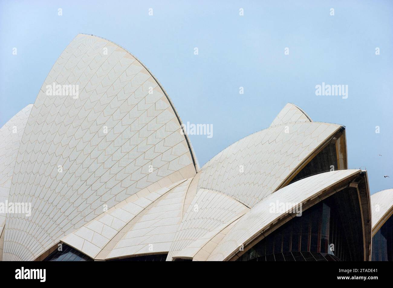 Opernhaus, Detail, Dachkonstruktion, Architektur, Design, berühmt, Wahrzeichen, Sydney, Australien Stockfoto
