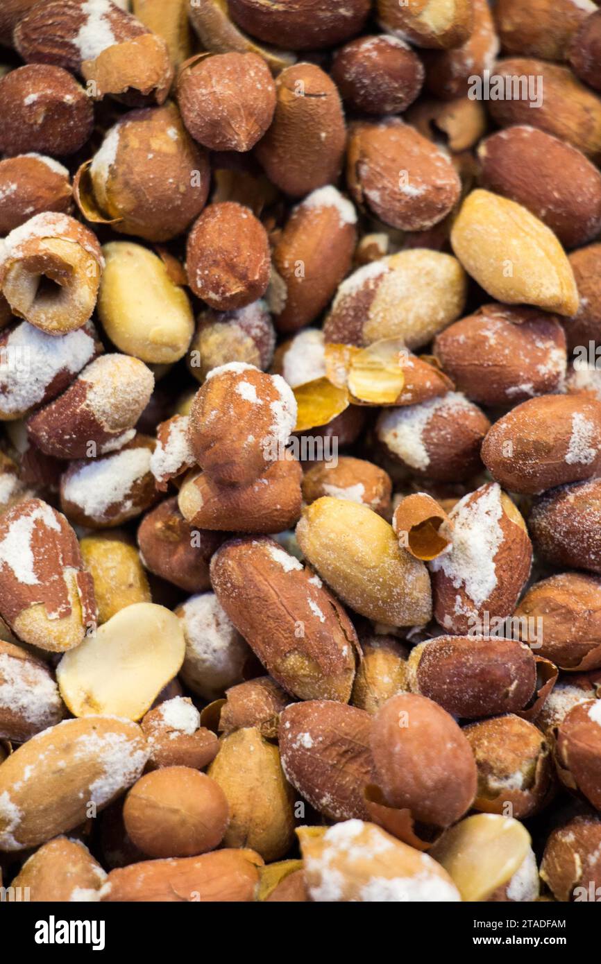 Geräumte Erdnüsse gebacken und gesalzen essfertig Stockfoto