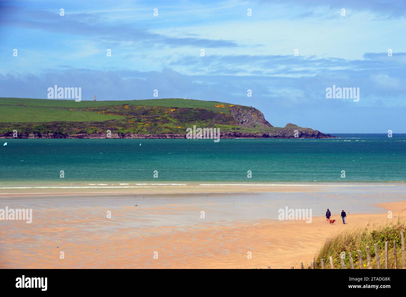 Two Men Walking a Dog am Daymar Beach mit Stepper Point im Hintergrund von den Sanddünen auf dem South West Coastal Path in der Nähe von Padstow, Cornwall. Stockfoto