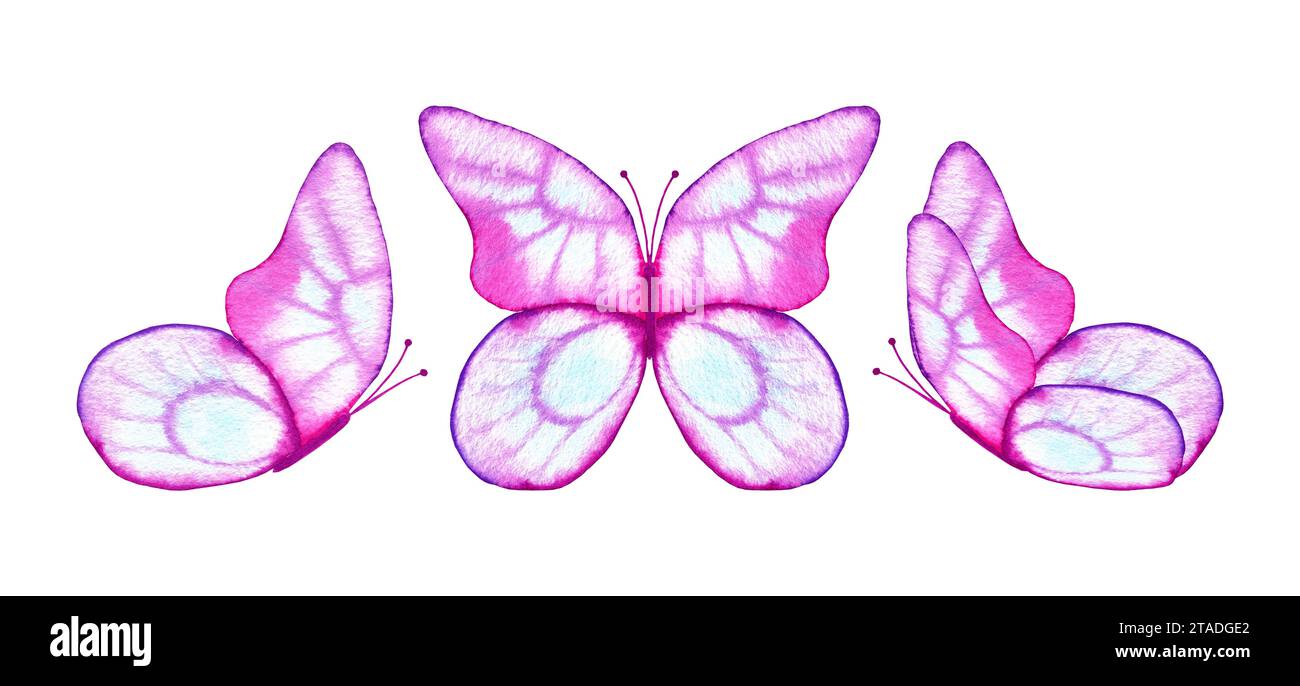 Set mit rosafarbenen, transparenten Schmetterlingen in Aquarellen. Handgezeichnetes Clipart für Design. Stockfoto