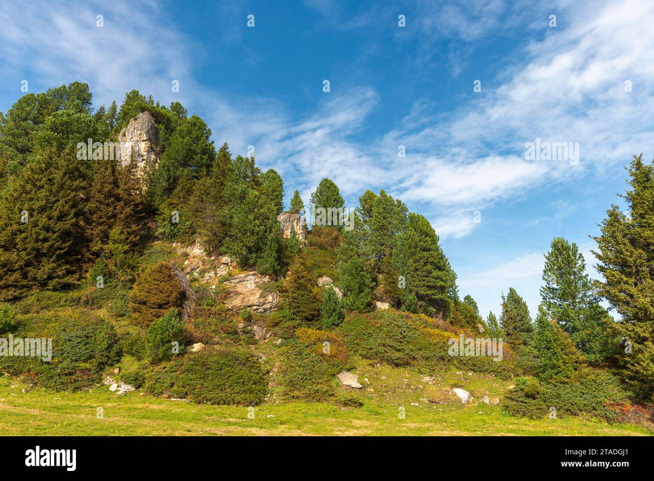 Penken, Penkenjoch (2.095 m), Finkenberg Gemeinde, Zillertaler Alpen, Tuxtal, Tirol, Österreich Stockfoto