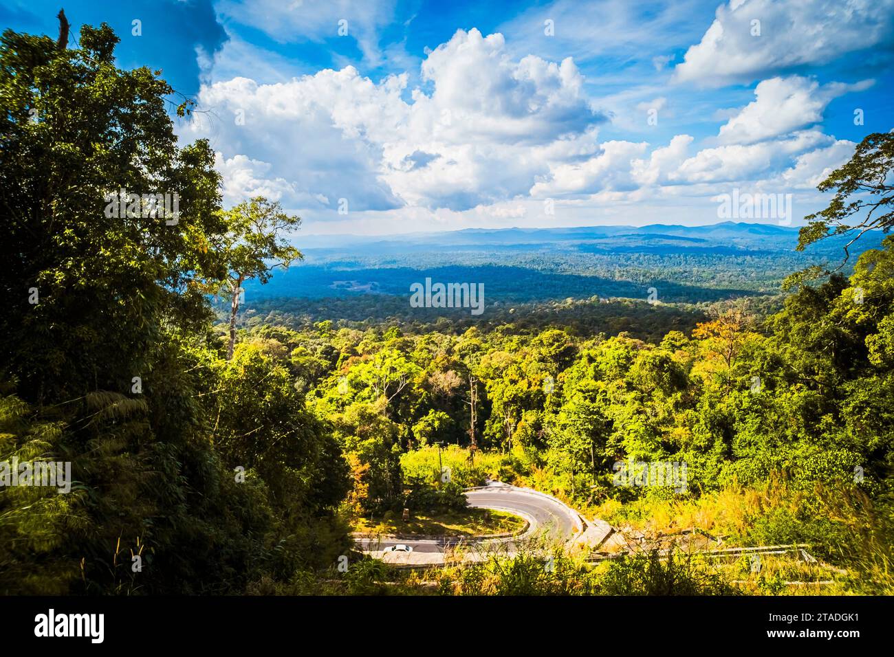 Hochwinkel-Panoramaaufnahme einer gekrümmten Asphaltstraße, die durch einen dichten tropischen Dschungel unter einem hellen, bewölkten blauen Himmel führt. Stockfoto