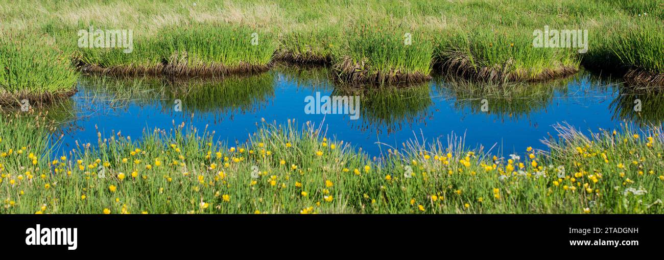 Highland Lake in grünen natürlichen Hintergrund in Artvin Provinz der Türkei Stockfoto