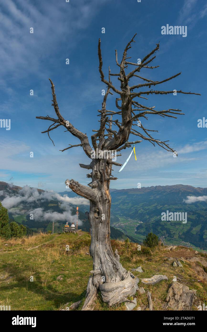 Penken, Penkenjoch (2.095 m), Finkenberg Gemeinde, Zillertaler Alpen, Tuxtal, Tirol, Österreich Stockfoto