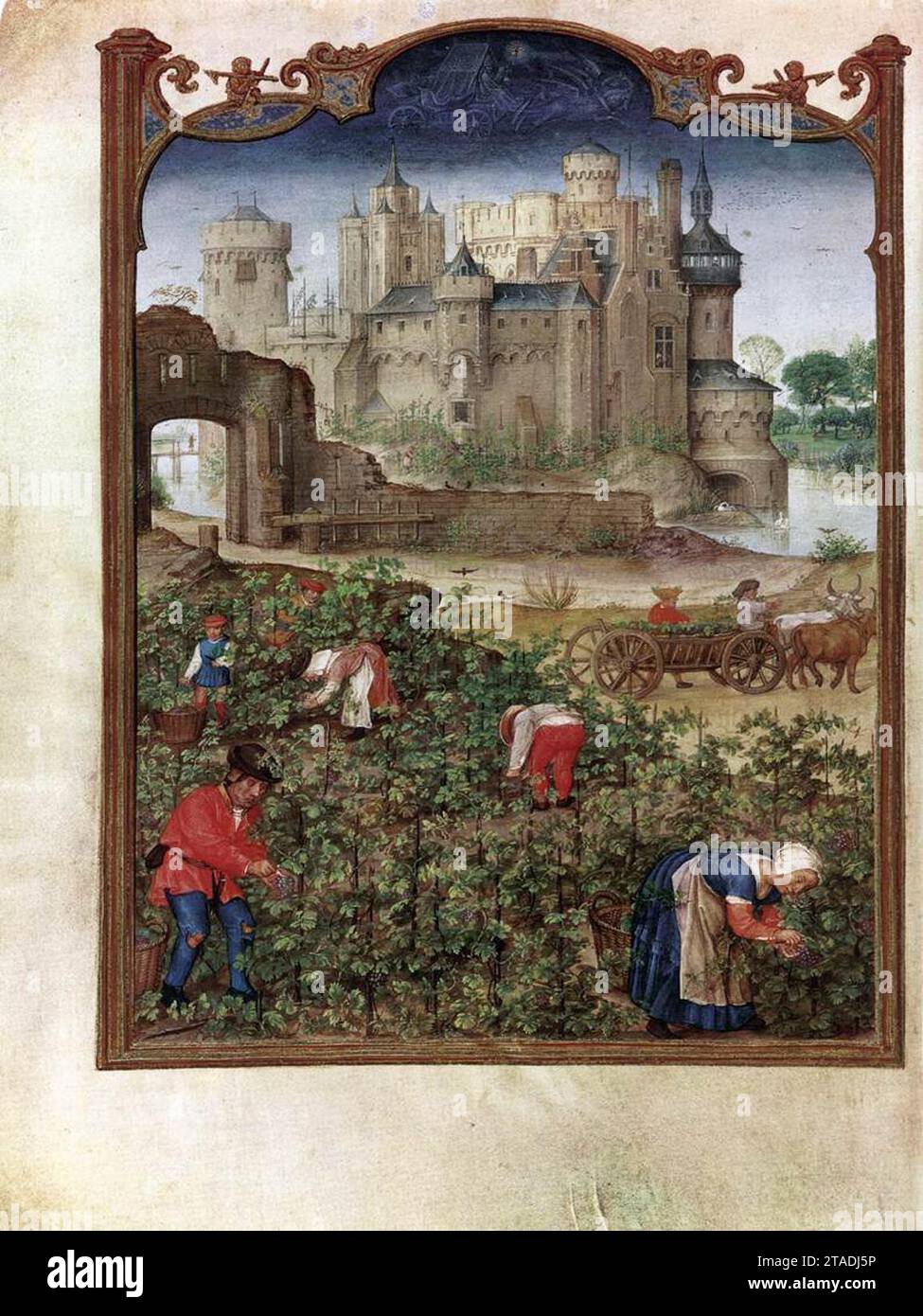 Grimani Breviary: The Month of September 1510s von Gerard Horenbout Stockfoto