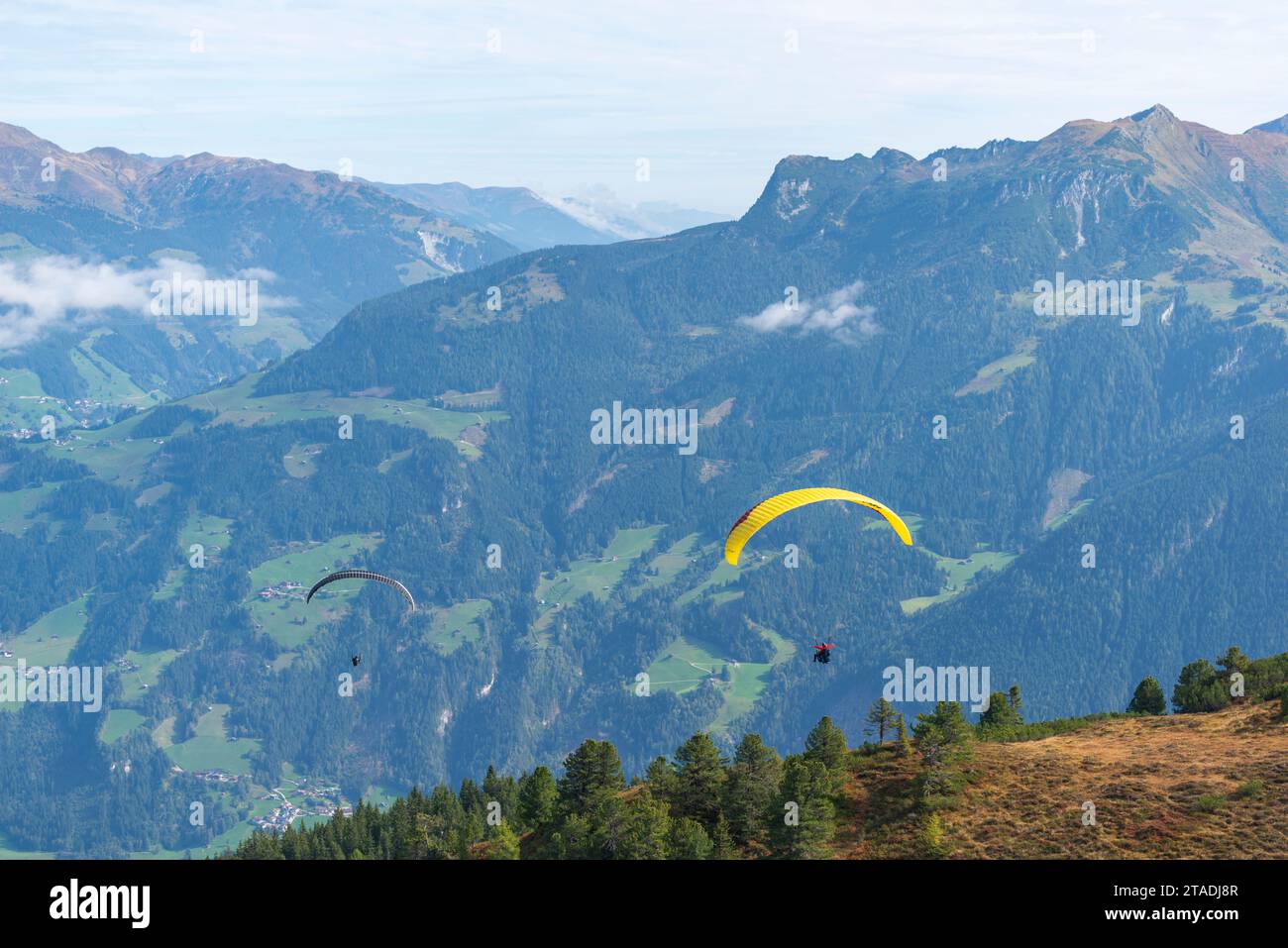 Gleitschirmflüge ab Penken (2095 m), Tandem-Paragliding Mayrhofen, Zillertaler Alpen, Tirol, Österreich Stockfoto